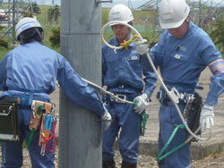 Learning to use a safety rope to climb a pole (power distribution)
